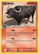man dragon