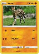 Serval