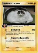 The fattest cat