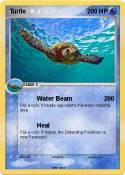 Turtle