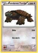 Pandaren Turtle