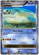 sea turtel