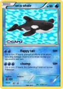 orca whale