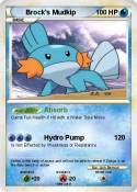 Brock's Mudkip