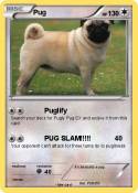 Pug