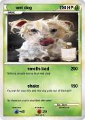 wet dog