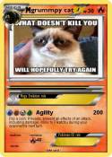 grummpy cat