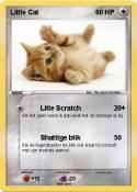 Liltle Cat