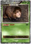 justin beaver