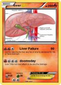 liver