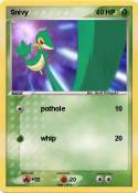 Snivy