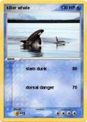 killer whale