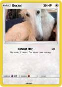 Borzoi