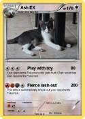 Ash EX
