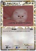 Angry Cat Lv. X