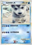 HUSKER JR.