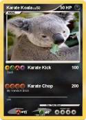 Karate Koala Karate Koala