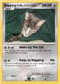 Napping Cat