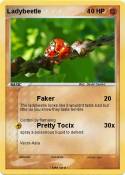 Ladybeetle Ladybeetle