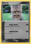 Dark cat