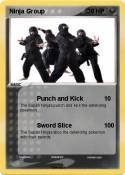 Ninja Group