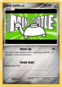 mine turtle
