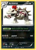 dry bowser