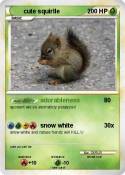 cute squirlle