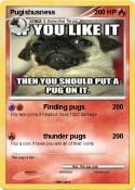 Pugishusness