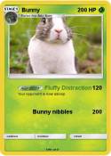 Bunny