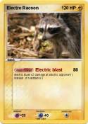Electro Racoon