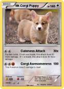 Mr.Corgi Puppy Mr.Corgi Puppy
