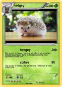 hedgey