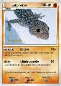 geko tokay