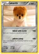 pillow EX