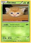 Cute kittten