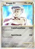 Shaggy EX