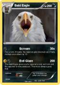 Bald Eagle Bald Eagle