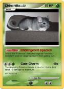 Chinchilla