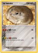 fat hamster