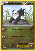 panda dragon