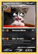 Awsome Face Cat