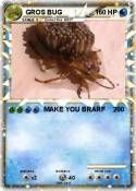 GROS BUG