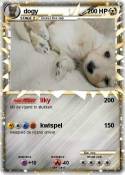 dogy