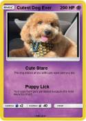 Cutest Dog Ever