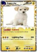 Puppy chu