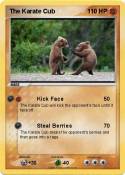 The Karate Cub