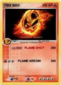 FIRE BIRD