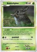 Bunny-fighter