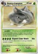 Bunny-champion